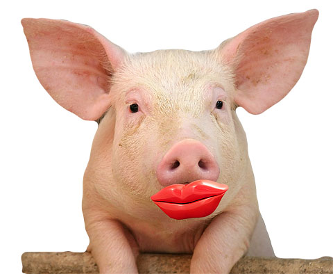 lipstick-on-pig