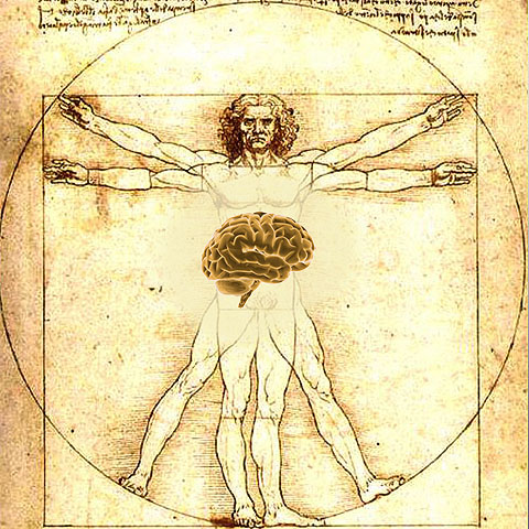 brain in stomach