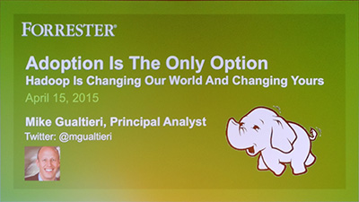 adoption is the only option hadoop