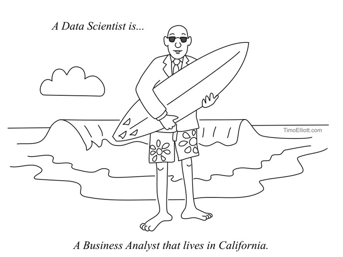 What is a Data Scientist and What Do They Do? (Cartoons)