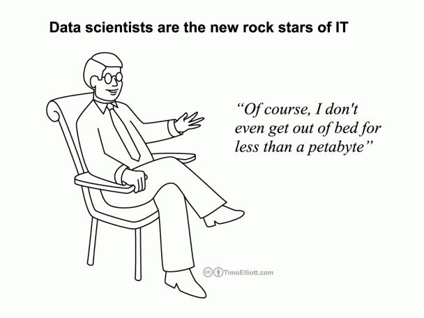 Cartoon: Data Scientists Are The New IT Rock Stars