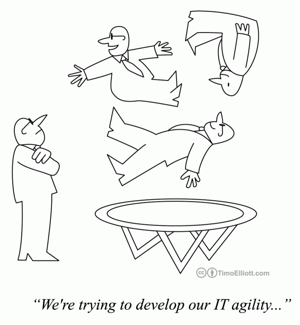 Cartoon: Developing IT Agility