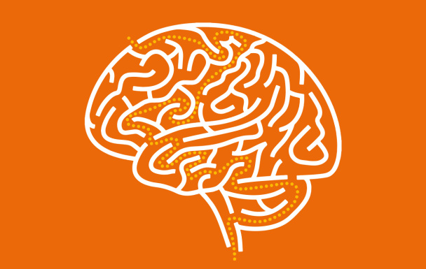 orange-brain-path-608x385.jpg
