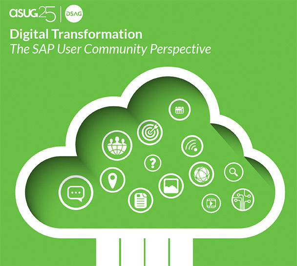 What SAP Users Think About Digital Transformation